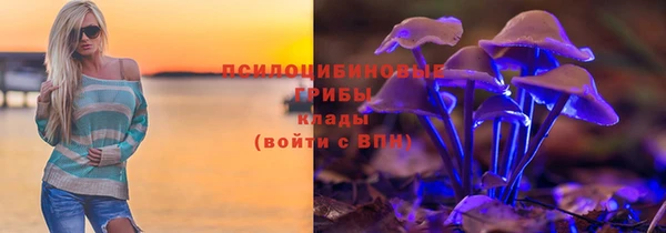 стафф Алексин