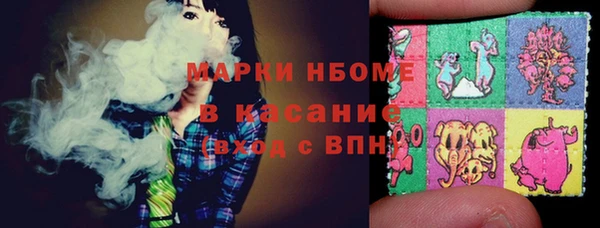 гашик Арсеньев