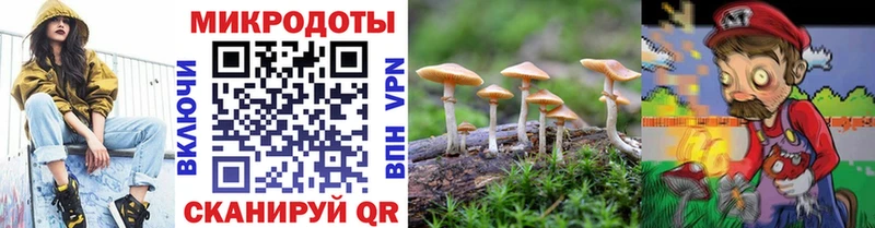 где можно купить наркотик  omg зеркало  Псилоцибиновые грибы Cubensis  Мыски 